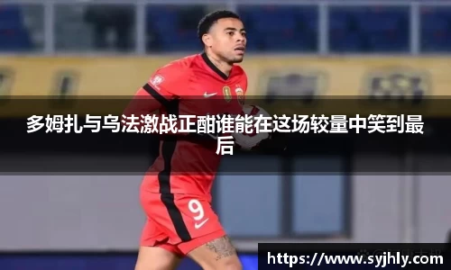 Lewin乐玩官网