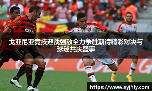Lewin乐玩官网